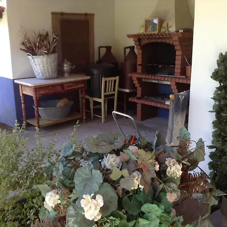 Charming Duplex House Σπίτι διακοπών Pampilhosa do Botão