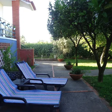 Charming Duplex House Σπίτι διακοπών Pampilhosa do Botão