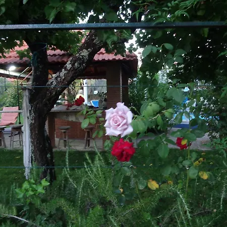Σπίτι διακοπών Charming Duplex House Pampilhosa do Botão
