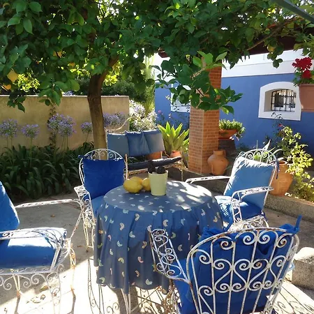 Charming Duplex House